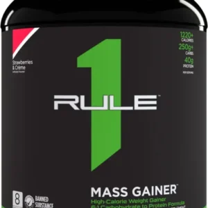Rule 1 Mass Gainer (5.71 lbs)